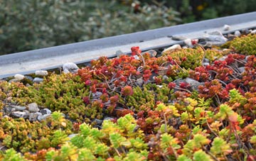 the cost of Brympton Devercy green roof installation