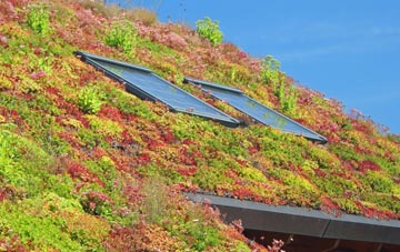 Brympton Devercy living roof systems